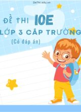 Bộ đề thi IOE Lớp 3 cấp trường (Có đáp án)
